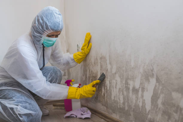Best Mold Testing  in St Simons, GA