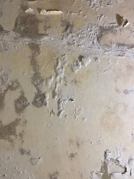 Best Water Damage Restoration  in St Simons, GA