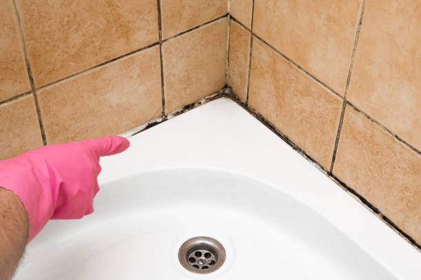 Best Mold Testing  in St Simons, GA
